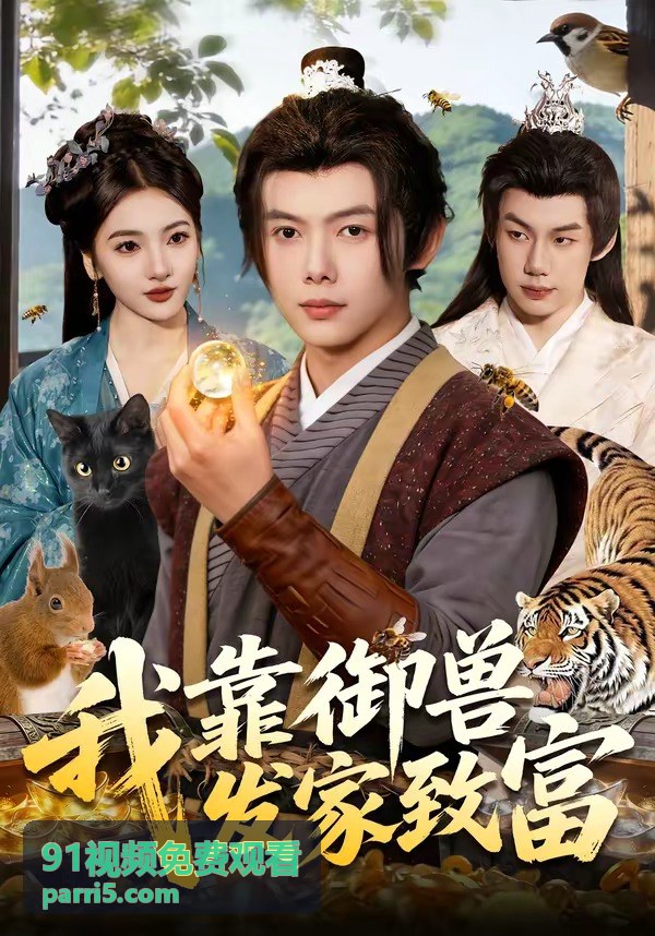 91视频免费观看觀看指南問答封面
